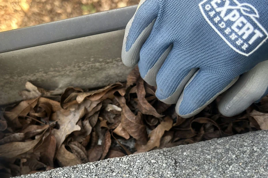 Gutter Cleaning Fort Pierce FL