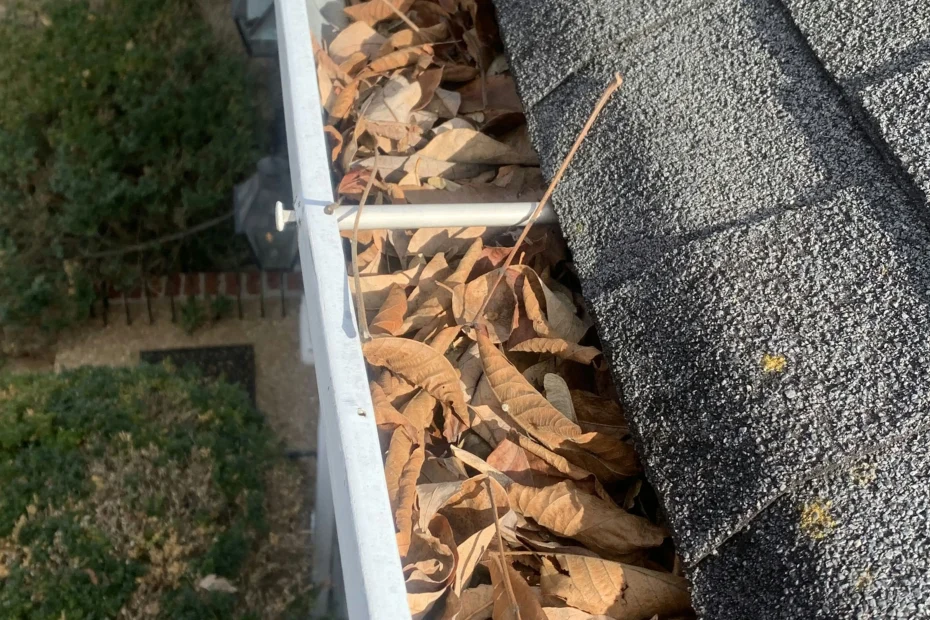 Gutter Cleaning Fort Pierce FL